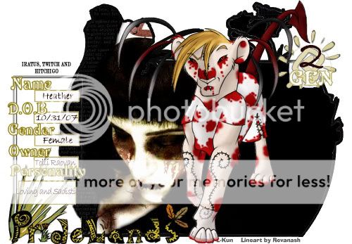User Image